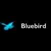 Bluebird – Paul McCartney & Wings