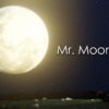 Mr. Moonlight – The Beatles