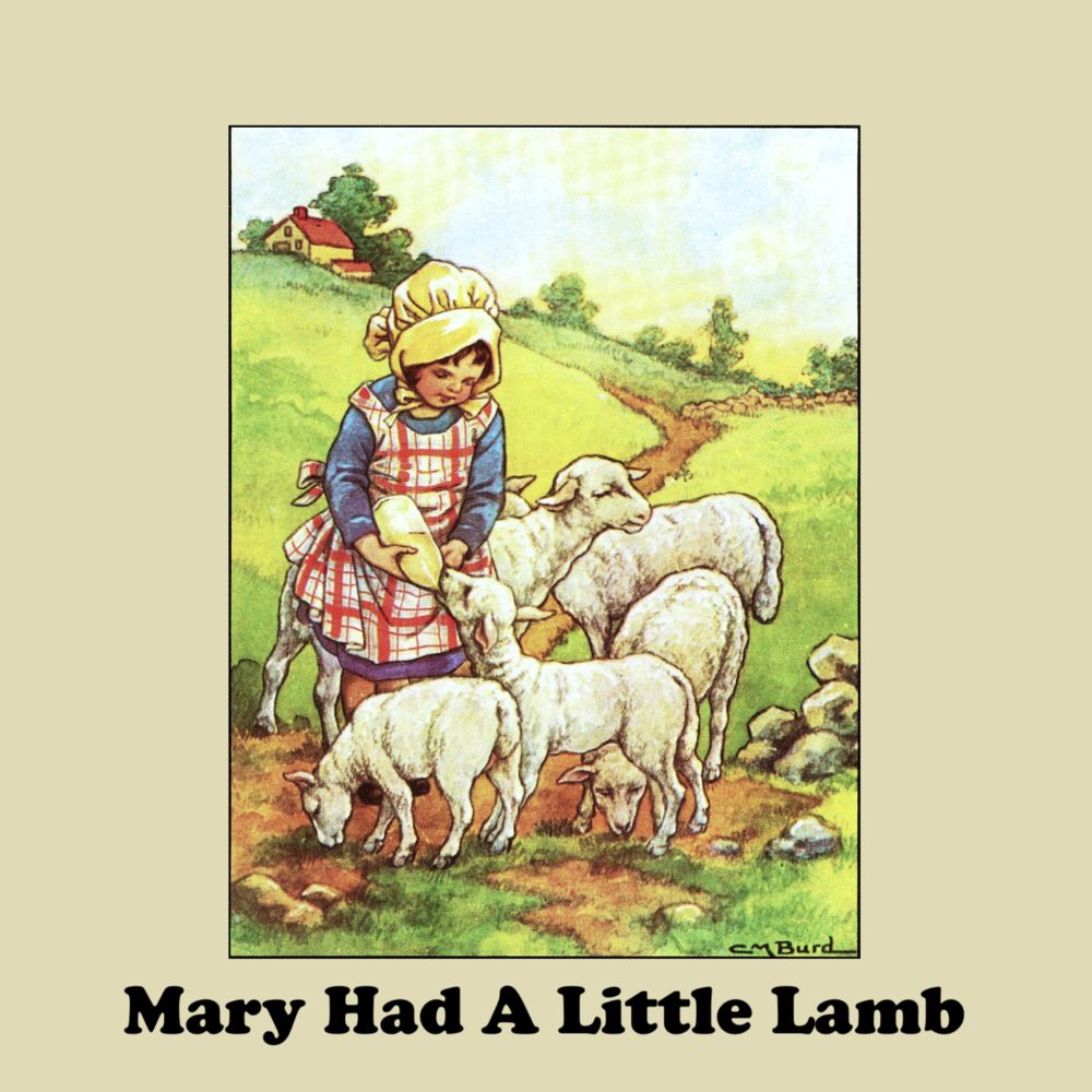 Mary has brothers. Mary had a little Lamb. Little Lamb Miss Roper. The 10th Kingdom judge little Lamb. Comics the meat Market – don Marco – Chapter 5 – Mary’s little Lamb.