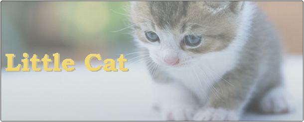 eyechatch_littlecat
